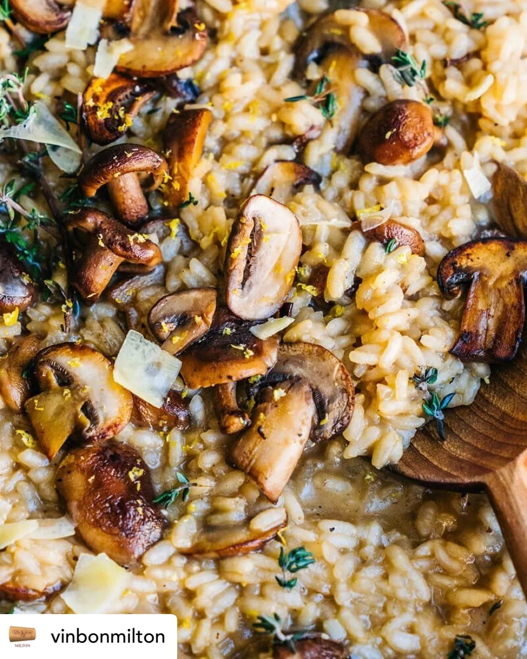 Creamy Mushroom Parmesan Risotto - Vin Bon Milton